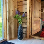 Lofoten - Fisherman's Villa Kvalnes (Vestvagoy)