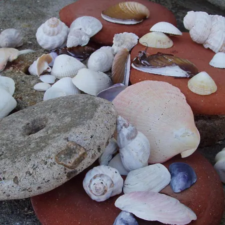 Vila Lofoten - Fisherman's *