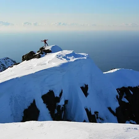 Vila Lofoten - Fisherman's Kvalnes (Vestvagoy)