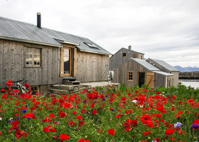 Lofoten - Fisherman's * Kvalnes (Vestvagoy)